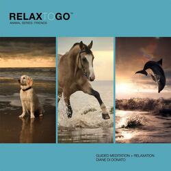 Guided Meditation and Relaxation (Dog)