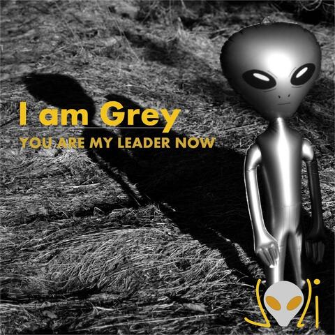 I Am Grey (You Are My Leader Now)