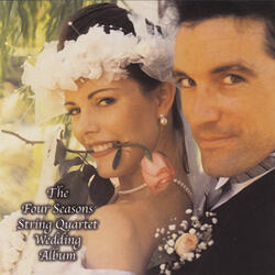 Symphony No. 9 in D Minor, Op. 125: IV. Andante Maestoso "Ode to Joy"
