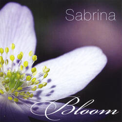 What's the Use (Live)