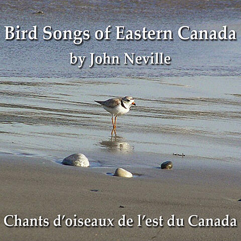 Bird Songs of Eastern Canada