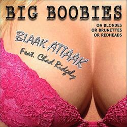 Big Boobies On Blondes or Brunettes or Redheads (feat. Chad Ridgely)