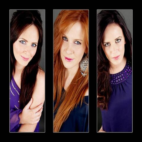 While the Sun Shines