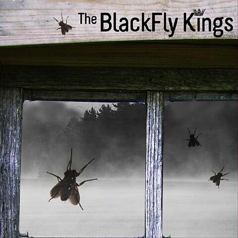 The Blackfly Kings