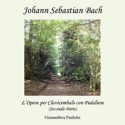 Trio-Sonata No. 2 in Do Minore, BWV 526: III. Allegro