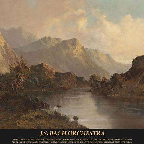 Bach: Toccata and Fugue, Violin Concerto No. 1 in A Minor, Air On the G String & Fantasia and Fugue - Pachelbel: Canon in D - Vivaldi: The Four Seasons & Concertos - Albinoni: Adagio - Rinaldi: Works - Mendelssohn: Wedding March - Liszt: Love Dream