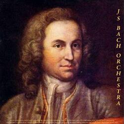 Andante for String Orchestra, Op. 2, No. 3: Le Regioni Della Luce