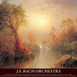 Waltz No. 7 in C Sharp Minor, Op. 64, No. 2: Tempo Giusto