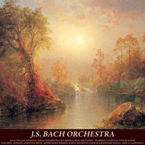 Bach: Toccata and Fugue in D Minor, Violin Concerto No. 1 in a Minor & Air On the G String - Pachelbel: Canon in D - Vivaldi: Guitar Concerto - Albinoni: Adagio - Mendelssohn: Wedding March - Beethoven: Fur Elise & Moonlight Sonata - Liszt: La Campanella