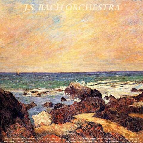 Bach: Toccata and Fugue in D Minor, Air On the G String & Violin Concerto No. 1 in A Minor - Pachelbel: Canon in D - Albinoni: Adagio in G Minor - Vivaldi: Concertos - Walter Rinaldi: Adagio for Oboe & Orchestral Works - Mendelssohn: Wedding March