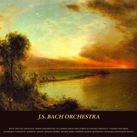 Bach: Toccata and Fugue, Violin Concerto No. 1 in A Minor, Air On the G String & Fantasia and Fugue - Vivaldi: Concertos - Pachelbel: Canon in D - Albinoni: Adagio - Rinaldi: Works - Mendelssohn: Wedding March - Beethoven: Fur Elise & Moonlight Sonata