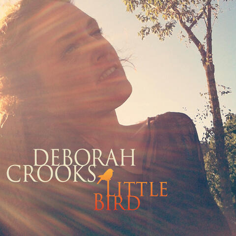 Little Bird
