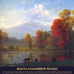 Orchestral Suite in D Major, No. 3, BWV 1068: II. Air