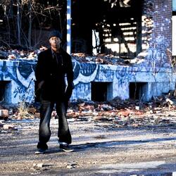 Beyond the Green Fence