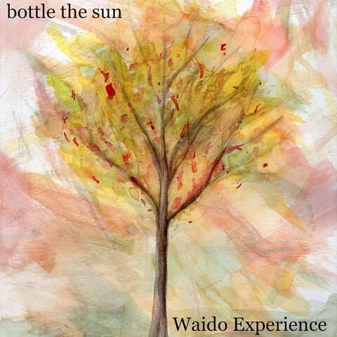 Bottle the Sun
