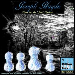 String Quartet in F Minor, Op. 20, No. 5, Hobiii:35: I. Allegro Moderato