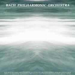 Concerto in E Major for Violin, Strings and Continuo, Op. 8, No. 1, Rv 269, la Primavera (Spring): II. Largo