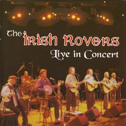 Reels / Pidgeon On the Gate / The Plough and the Stars / The Reconciliation (Live)