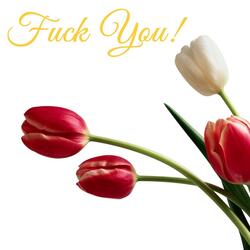 Fuck You!