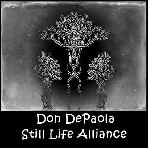 Still Life Alliance