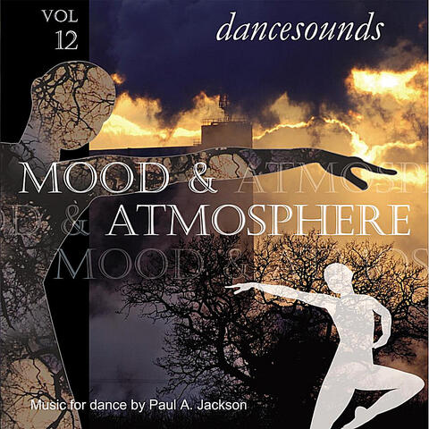 Dancesounds, Vol. 12 (Mood & Atmosphere)