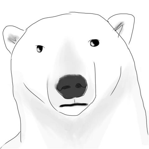 Polar Bear Swim