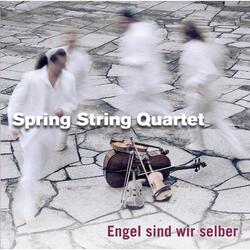 Die Spring String Theorie