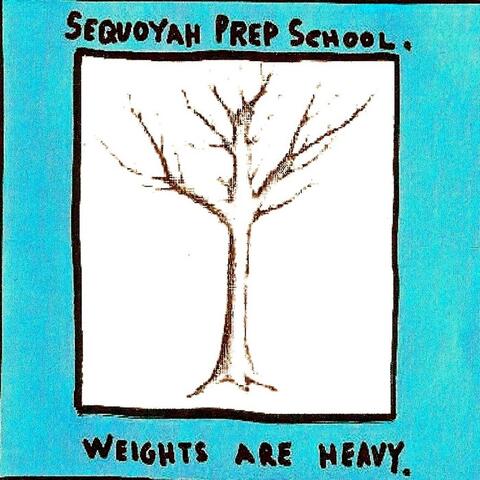 Weights Are Heavy