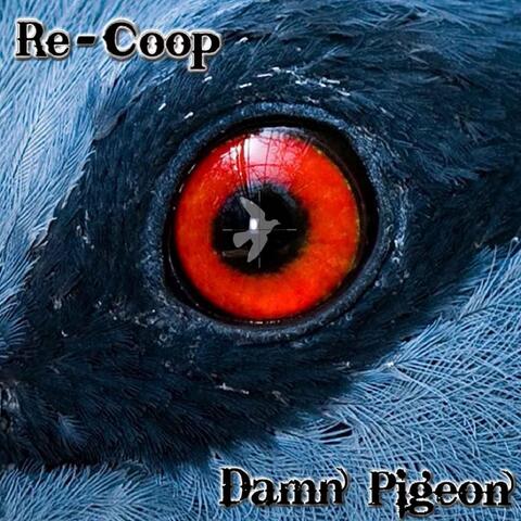 Re-Coop