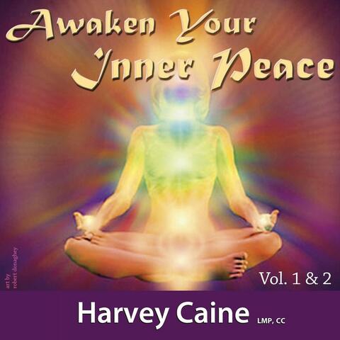 Awaken Your Inner Peace, Vol. 1 & 2 (Eleven Chakra Healing System)