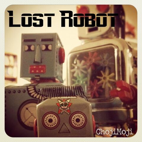 Lost Robot