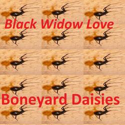 Black Widow Love