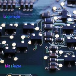 Bits & Bytes