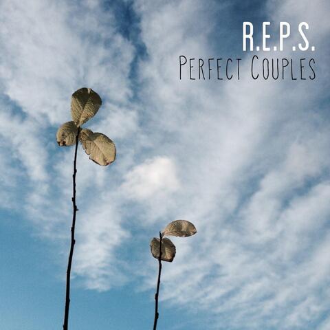 Perfect Couples