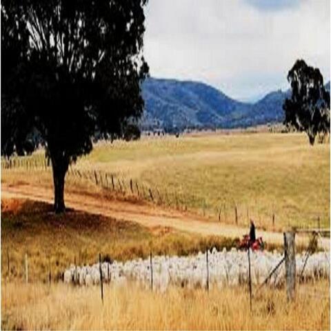 Knockabout