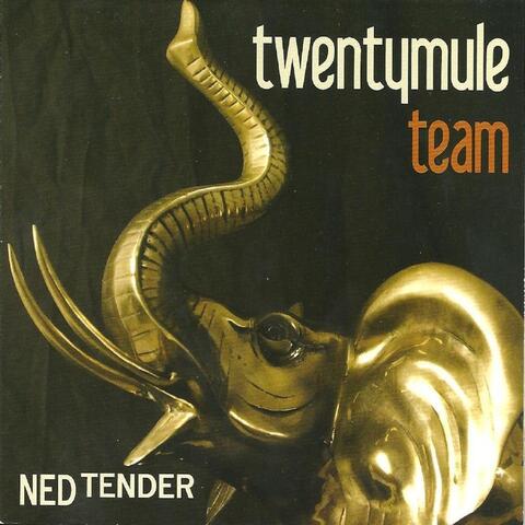 Ned Tender