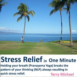 Stress Relief in One Minute. Holding Your Breath (Pranayama Yoga) Breaks the Pattern of Your Thinking (NLP), Always Resulting in Quick Stress Relief.