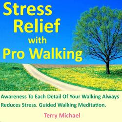 Stress Relief With Pro Walking. Awareness to Each Detail of Your Walking Always Reduces Stress. Guided Walking Meditation.