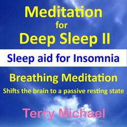 Meditation for Deep Sleep II: Sleep Aid for Insomnia. Breathing Meditation (Shift the Brain to a Passive Resting State)