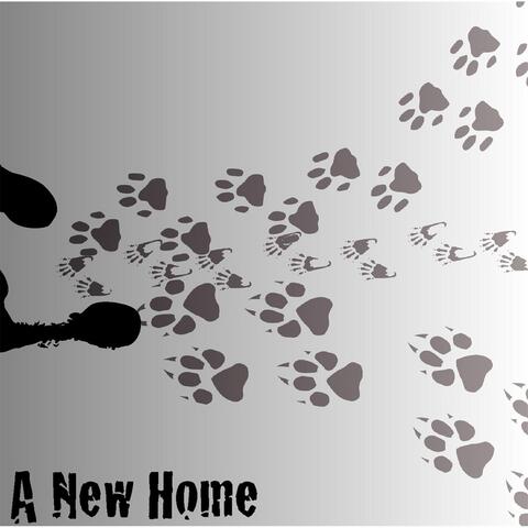 A New Home