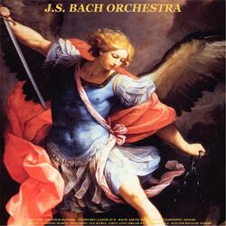 Allegro for String Orchestra, Op. 2, No. 5: La Forza Dell, Ideale