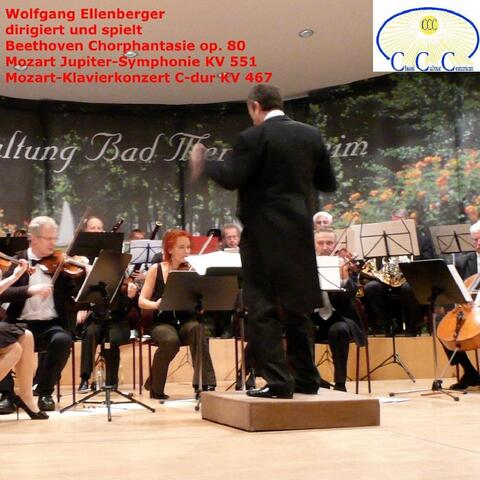 Wolfgang Ellenberger Conducts and Plays: Dirigiert Und Spielt