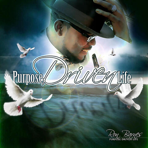 Purpose Driven Life