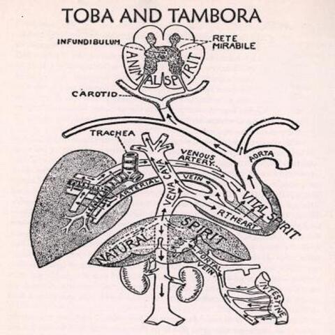 Toba & Tambora EP