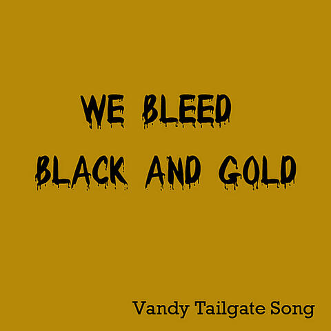 We Bleed Black and Gold: Vandy Tailgate Song