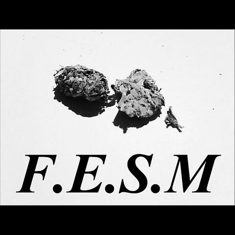 F.E.S.M