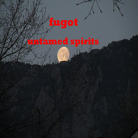 Fugot