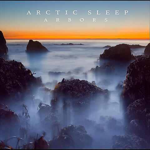 Arctic Sleep