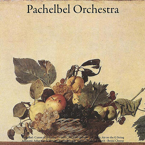 Pachelbel: Canon - Vivaldi: the Four Seasons - Bach: Air - Albinoni: Adagio - Walter Rinaldi: Works - Mendelssohn: Wedding March - Wagner: Here Comes the Bride