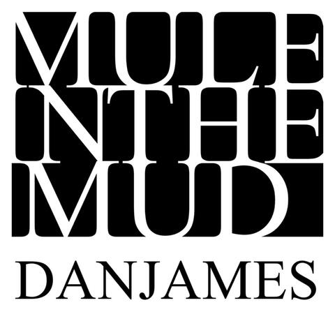 Mule in the Mud